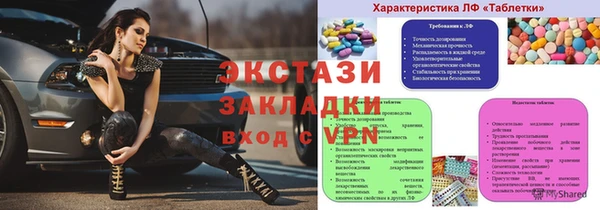индика Елизово