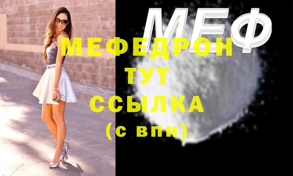 индика Елизово