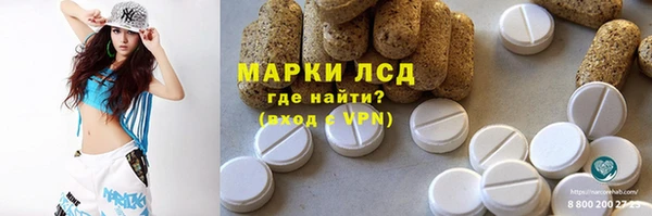 индика Елизово