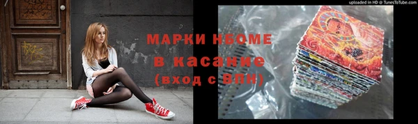 индика Елизово