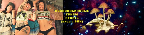 индика Елизово