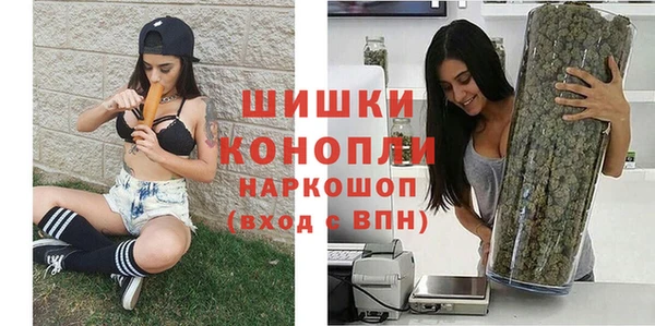 индика Елизово