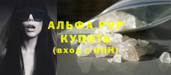 индика Елизово