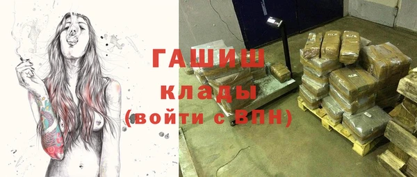 индика Елизово