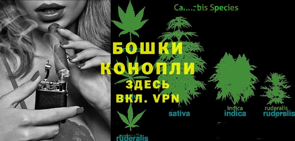 индика Елизово