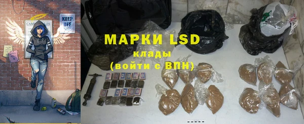 индика Елизово