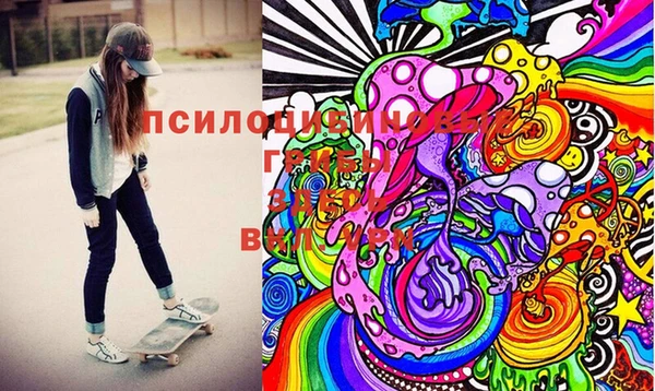 индика Елизово