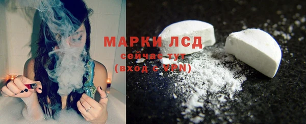 индика Елизово