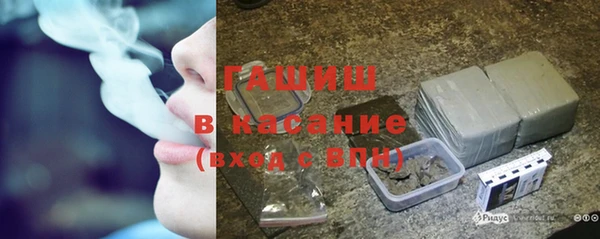 индика Елизово